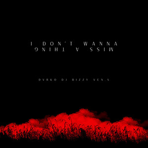 I Don't Wanna Miss A Thing (Extended)