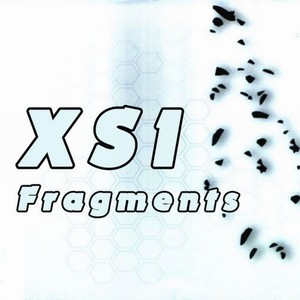 Fragments