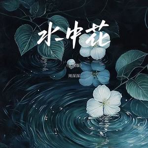 水中花 (氛围版)