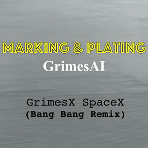 GrimesX SpaceX (Bang Bang Remix)