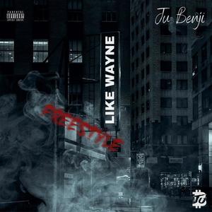 Like Wayne (Explicit)