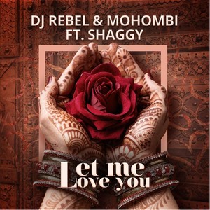 Let Me Love You (feat. Shaggy)