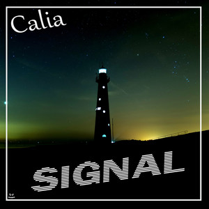 Signal