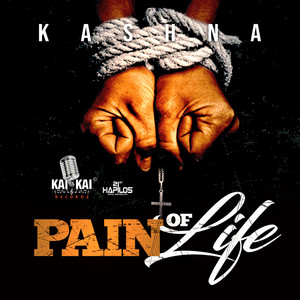Pain of Life (Explicit)