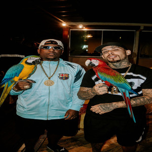 PAPAGAIO DE MANCHOPE (Explicit)