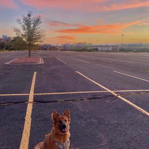 Das Wazzuh (Explicit)