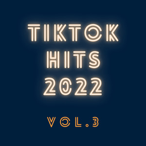 TikTok Hits 2022 Vol. 3 (Remix)