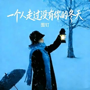 一人走过没有你的冬天 (深情女版)
