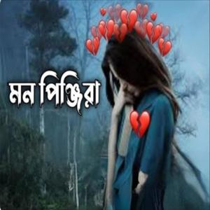 মন পিঞ্জিরায় (Slowed and Reverb)