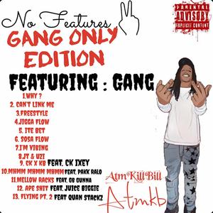 No Features Volume II (Gang Only) [Explicit]