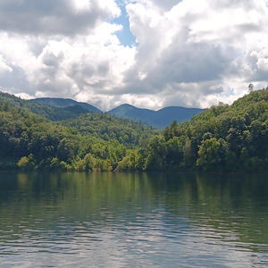 The Light Within (Special Version)