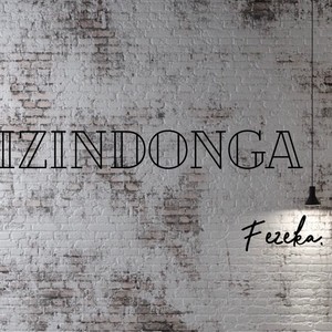 Izindonga