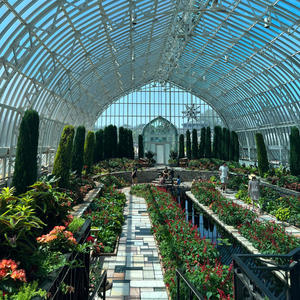 Cash Money (feat. Rozzy) (Explicit)