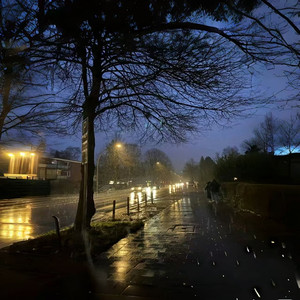 斑马斑马 (DJ版)