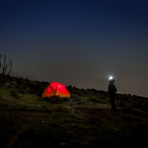 out of place (Explicit)