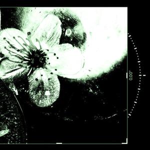 sore eyes (feat. ViolentValentinesDay) (Explicit)