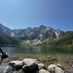 wish you well (Explicit)