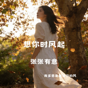 想你时风起（我多想是路过你的风）