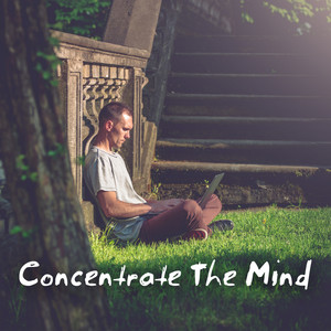 Concentrate The Mind: Music to Help You Focus on Study and Work