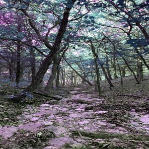 WHERE I WANT TO BE (Explicit)