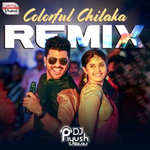 Colorful Chilaka Remix (From "Express Raja")