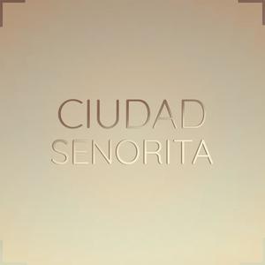 Ciudad Senorita