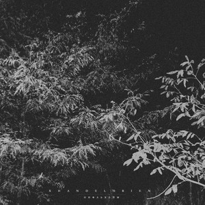 Спой мне, ветер