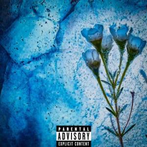 Icey 2 (feat. Moneybaggmalik) (Explicit)