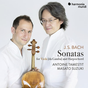 Sonata for Viola da Gamba in D Major, BWV 1028 - II. Allegro (Arr. for Viola) (Arr. for Viola)