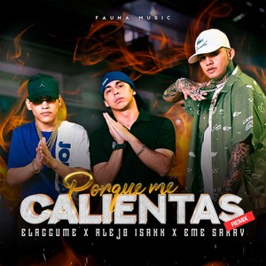 Porque me calientas (Remix) [Explicit]