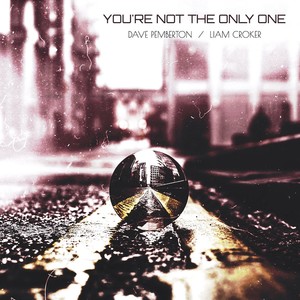 You're Not The Only One (Winachi Remix)