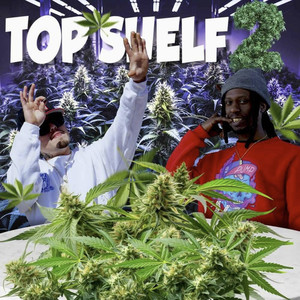 Top Shelf 2 (Explicit)