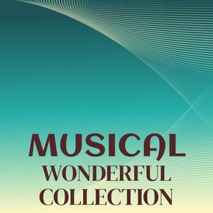 Musical Wonderful Collection