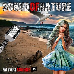 Sound of Nature