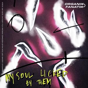 Lick My Soul (Ayarcana Remix)