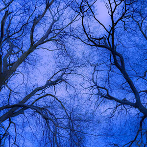 wait so long (Explicit)