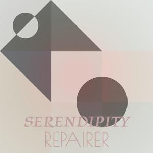 Serendipity Repairer