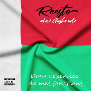 Dans l'exercice de mes fonctions (Explicit)