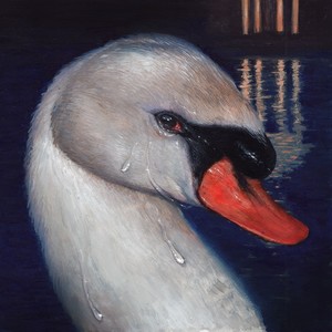 Schwanenteich (Explicit)