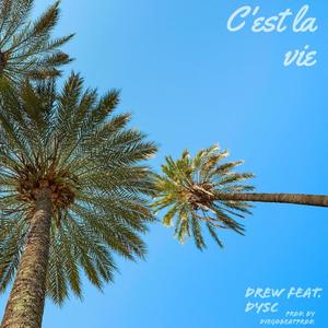 C'est la vie(feat. DYSC)
