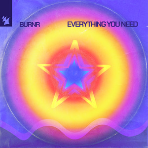 Everything You Need (Extended Mix)