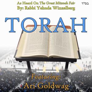 Torah (feat. Ari Goldwag)