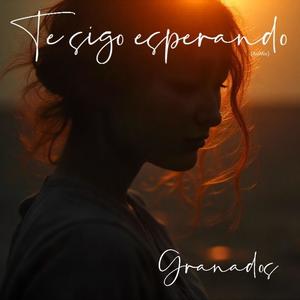 TE SIGO ESPERANDO (AsíMix)