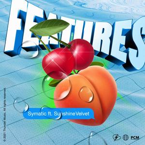 Features (feat. Sunshine Velvet)