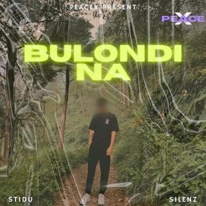 Bulondi Na (with STIDU)