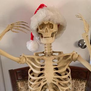 Not Another Christmas Song