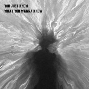 You Just Know What You Wanna Know (Explicit)