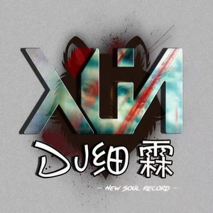 盗墓笔记·十年人间 (DJ细霖 弹鼓版)