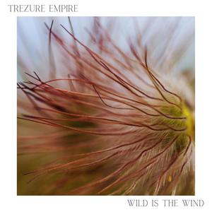 Wild Is The Wind