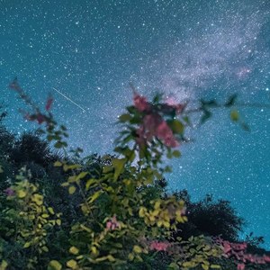 一颗星星一个梦想